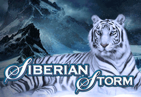 Siberian Storm Logo
