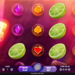 Berryburst 4 Wild 3