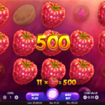 Berryburst 5 Win