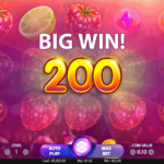 Berryburst 7 Big Win