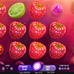 Berryburst 8 Reels