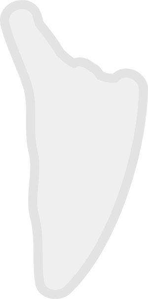 Delaware Silhouette
