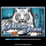 Siberian Storm 1 Loading