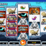 Siberian Storm 7 Big Win