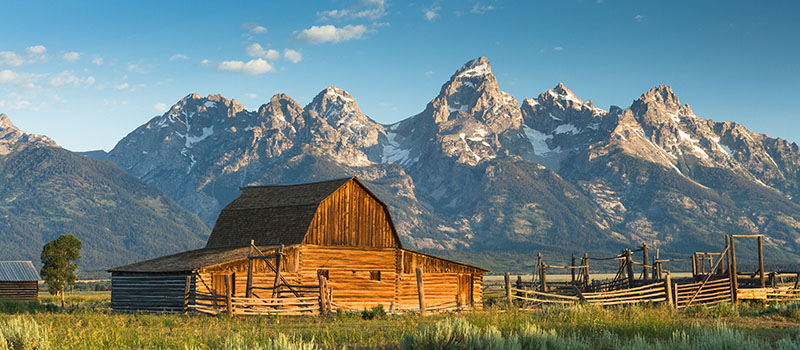 Sports Betting Wyoming