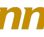 WynnBET Logo